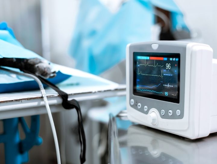 Mission Viejo Veterinary Surgeries
